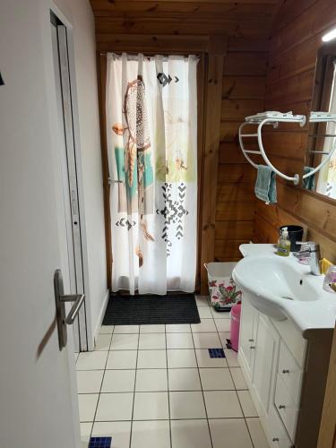 a bathroom with a shower and a sink at Chalet zen in Peri