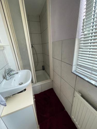 uma pequena casa de banho com um lavatório e um chuveiro em Tiny House em Burig