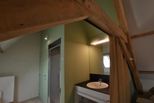 a bathroom with a sink and a mirror at Hoeve Ten Rooden Duifhuize in Sint-Denijs