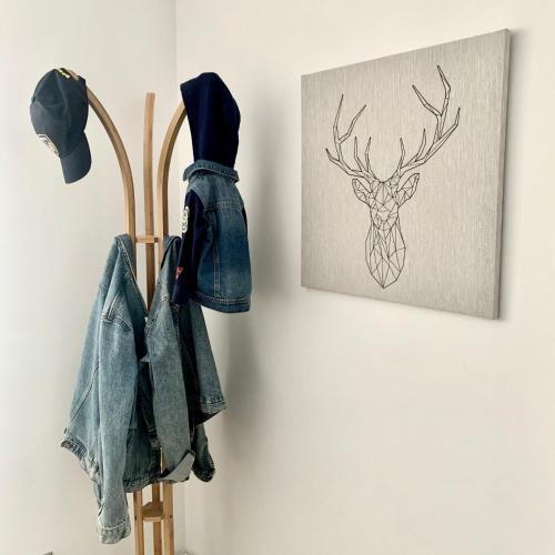  New Apartment La Massana - Telecabina to Bike Park -  Room  picture :   Kitchenette    Balcony    Washing machine             