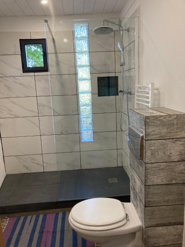 une salle de bain avec toilettes et douche dans l'établissement EcoVacances à la Ferme Le Pouget - Le Studio, à Saint-Jean-du-Gard