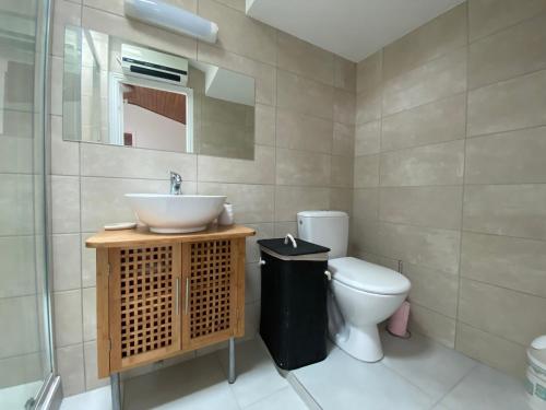 une salle de bain avec un lavabo et des toilettes dans l'établissement Le petit courrier, à Mimizan