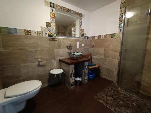 een badkamer met een toilet, een wastafel en een douche bij Old German Farm House, Appartement in Aurich