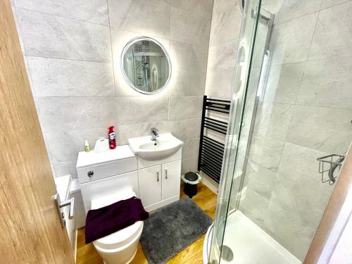 a bathroom with a toilet and a sink and a shower at Executive apartments, nr city centre with private parking in Plymouth