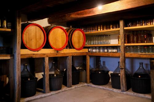 a row of wine barrels on a shelf with bottles at Green Apartments in Kuršumlija