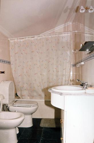 a bathroom with a toilet and a sink at Quinta do Vale Sanguinho in Seia