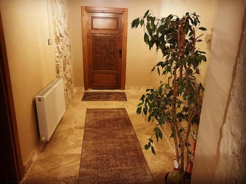 a hallway with a wooden door and a plant at Ala Stone House in Goreme