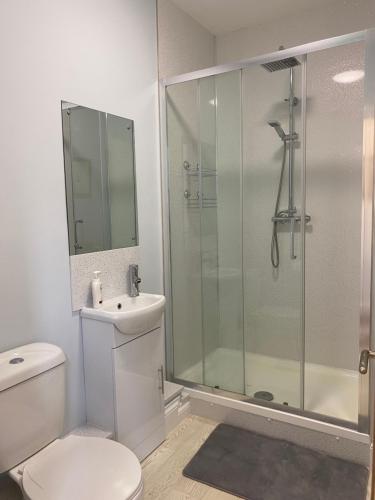 a bathroom with a shower and a toilet and a sink at Victorian Police Station - flexible suite, self contained in Launceston
