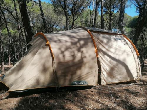 una tenda per terra nel bosco di Agricampeggio La Pineta a Lesina