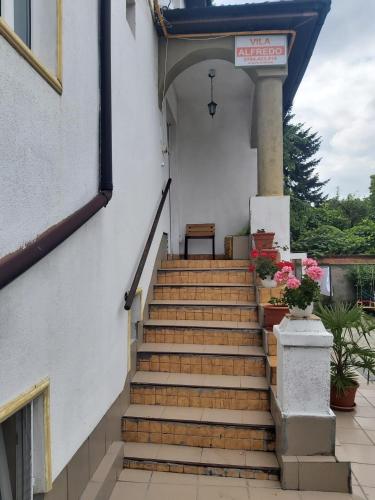 a stairway leading up to a building with flowers at Cazare Alfredo in Craiova