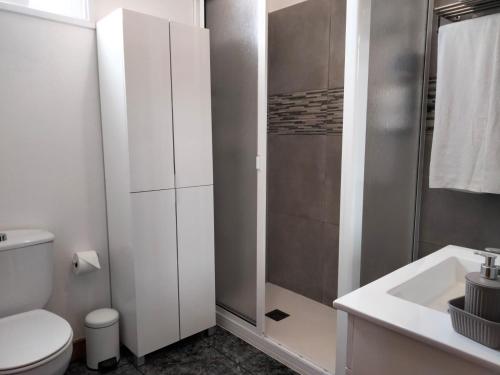 La salle de bains est pourvue d'une douche, de toilettes et d'un lavabo. dans l'établissement APARTAMENTOS La PEÑA A, à La Guancha