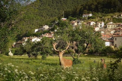 a deer standing in a field with a town in the background at Casa vacanze al Castello in Villetta Barrea