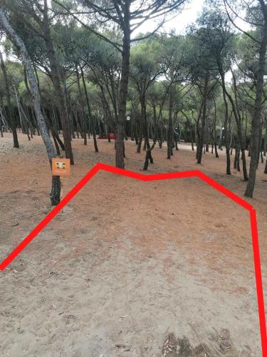Φωτογραφία από το άλμπουμ του Agricampeggio La Pineta σε Lesina