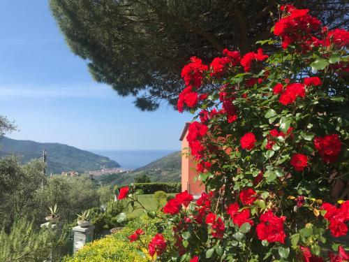 a bush of red roses in front of a building at La Vignana - 5 Terre in Levanto