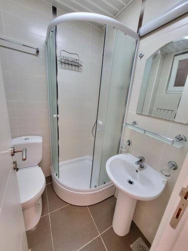 a bathroom with a shower and a toilet and a sink at Apartman Avanti in Budva