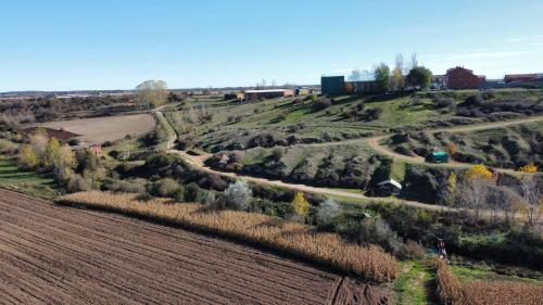 an aerial view of a farm field with trees at Miradoralaribera Chalet rural in Alcoba de la Ribera