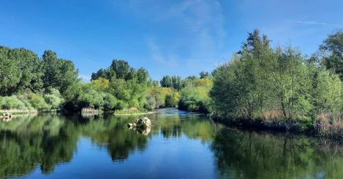 a river with trees on the side of it at Miradoralaribera Chalet rural in Alcoba de la Ribera