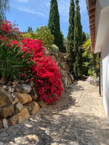 Κήπος έξω από το Finca Dariana Padel & Pool