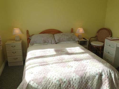a bedroom with a bed with two night stands and two lamps at An Gleann Accommodation in Miltown Malbay