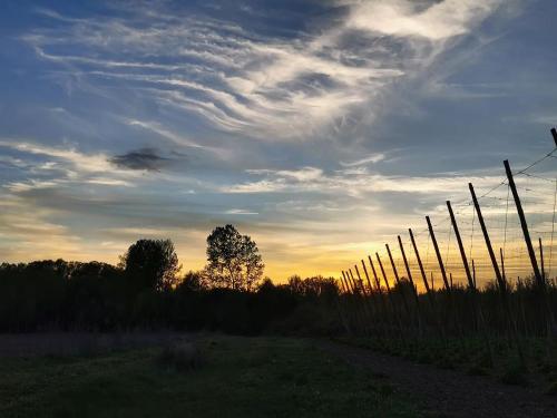 a fence in a field with a cloudy sky at Miradoralaribera Chalet rural in Alcoba de la Ribera