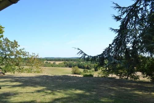 a view of a field from under a tree at Chambre d’hôtes Mamounet Haut in Madaillan