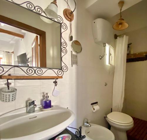 a bathroom with a sink and a toilet and a mirror at Panoramic Nest In Montalcino in Montalcino