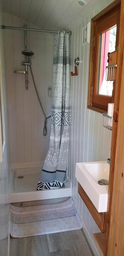 a bathroom with a shower and a sink at Roulotte romantique avec piscine en Cévennes in Monteils