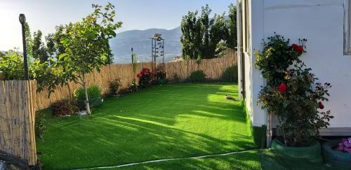 a backyard with green grass and a fence at רוזמרין בחרמון in Majdal Shams