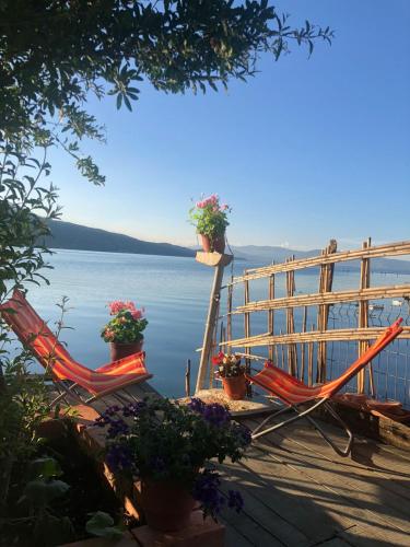 two chairs and potted plants sitting on a dock at Rosas Home in Pogradec