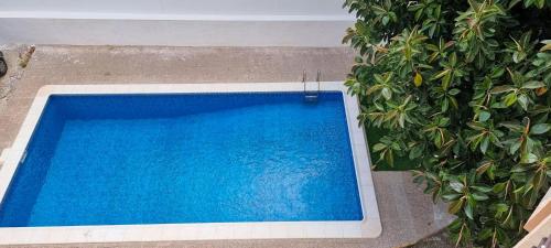 an overhead view of a blue swimming pool next to plants at Apartamento el Cid in Calpe
