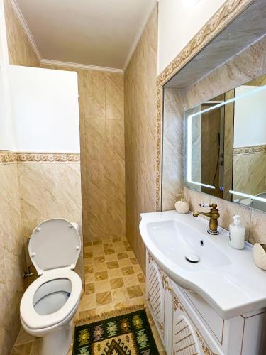 a bathroom with a toilet and a sink and a mirror at La Konac in Murighiol