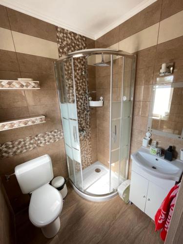 uma casa de banho com um chuveiro, um WC e um lavatório. em Lilla Apartman em Balatonkeresztúr