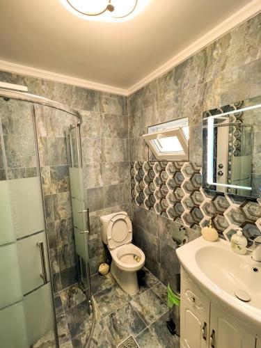 a bathroom with a toilet and a shower and a sink at La Konac in Murighiol
