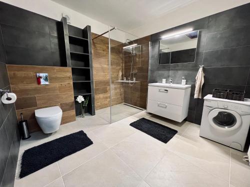 a bathroom with a washing machine and a shower at Ubytování U Pivovaru in Kamenice nad Lipou