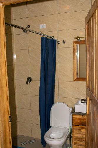 a bathroom with a toilet and a blue shower curtain at Choice Guest House 2 in Addis Ababa