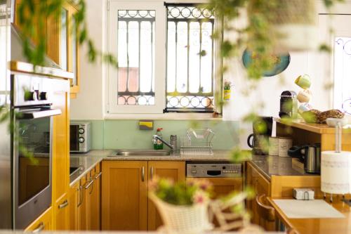 a kitchen with wooden cabinets and a sink and windows at Blossom Apartment Kos in Ampavris