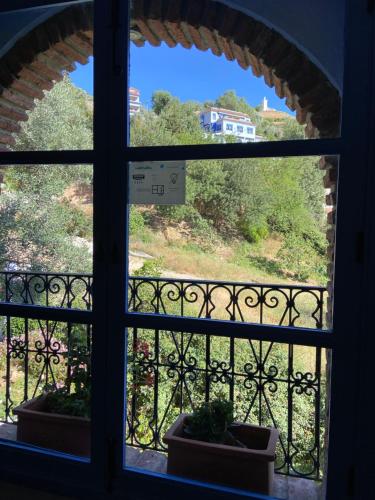 an open window with two potted plants on a balcony at Hotel Alkhalifa in Chefchaouene