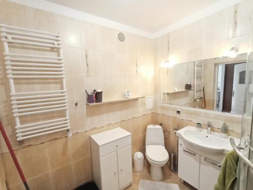 Bilik mandi di Apartament na Srebrnej