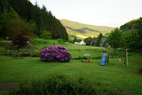 a field with a large bush of purple flowers at Kandel - Stubenhof, Black Forest in Simonswald