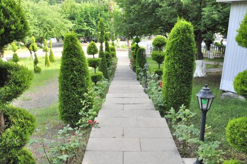 a walkway in a garden with bushes and a street light at Vilesh Palace Hotel in Masallı
