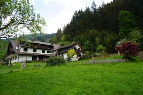 a house in the middle of a green field at Gummeneck - Stubenhof, Black Forest in Simonswald