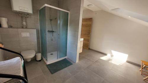 Ένα μπάνιο στο Apartma Krupa