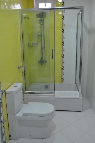a bathroom with a shower and a white toilet at Vilesh Palace Hotel in Masallı