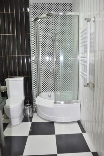 a bathroom with a shower and a toilet and a tub at Vilesh Palace Hotel in Masallı