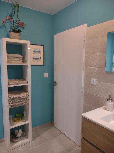 La salle de bains est pourvue d'une douche, d'un lavabo et d'une porte. dans l'établissement Petit Rêve des Corbières, à Durban-Corbières