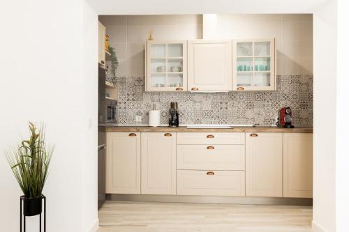a kitchen with white cabinets and a plant at Suite Catedral Little Apartments in Cádiz