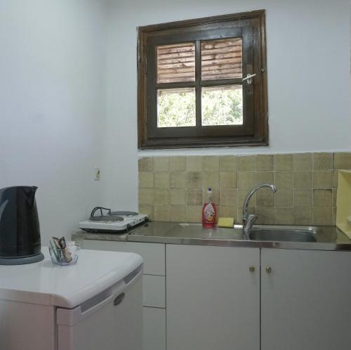 Kuchyň nebo kuchyňský kout v ubytování Corfu Room