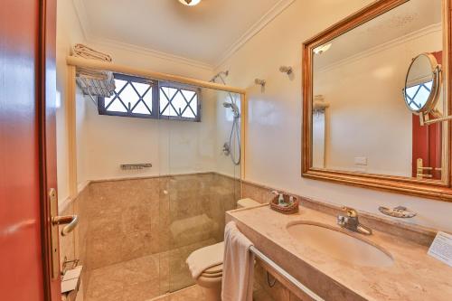 a bathroom with a sink and a shower and a mirror at Le Suisse Elegance Hotel in Campos do Jordão