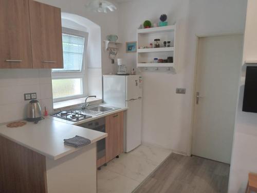 a kitchen with a white refrigerator and a sink at Kastelanic apartman in Brbinj