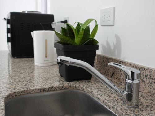 a kitchen sink with a faucet and a plant at Urquiza in Salta